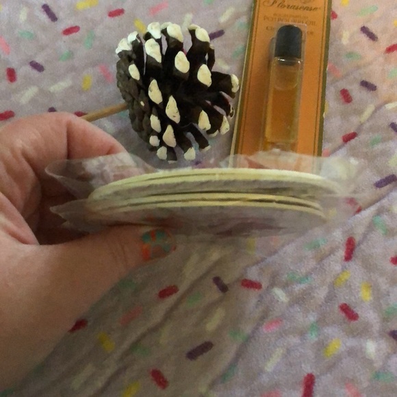 Christmas Set: 4 coasters, pinecone decor, oil - Picture 5 of 5